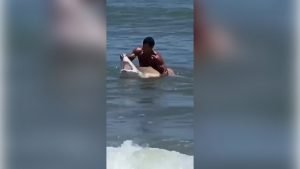 man wrestling shark off Delaware coast